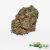 West Coast Kush