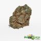 West Coast Kush