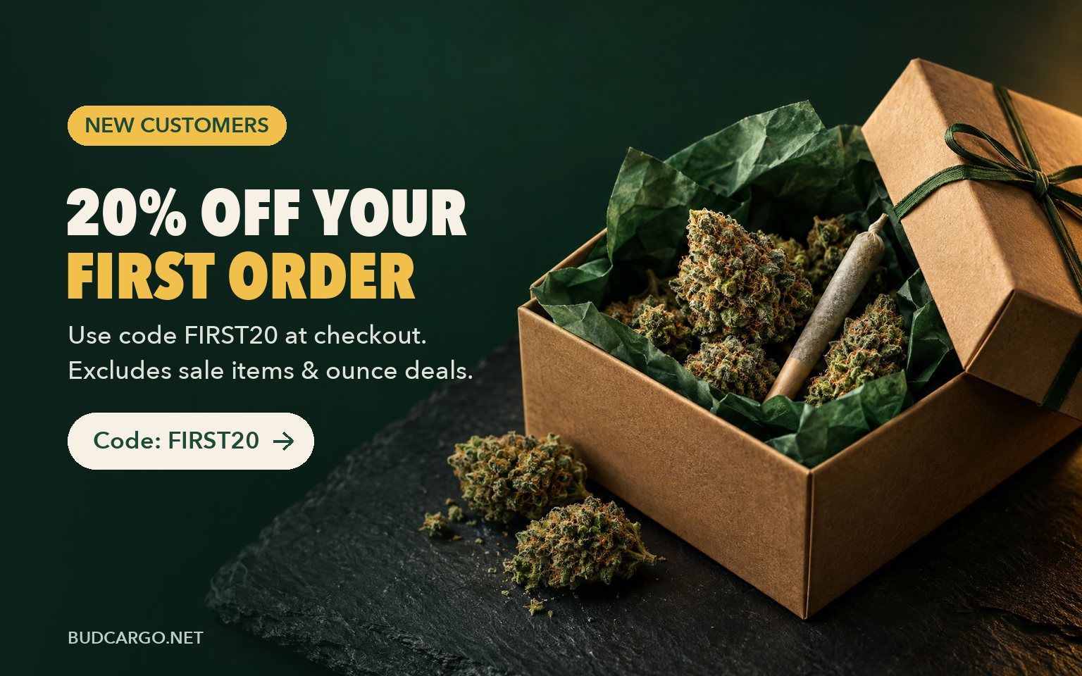 New customers get 20% off the first order with code FIRST20