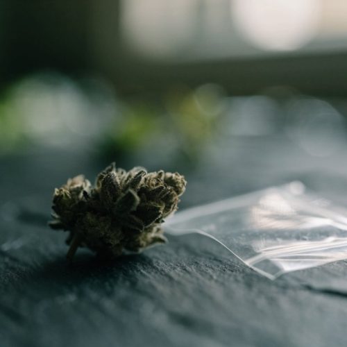 A single small dried cannabis bud beside an empty clear zip bag on a dark slate surface, about the size of a one-gram dime bag