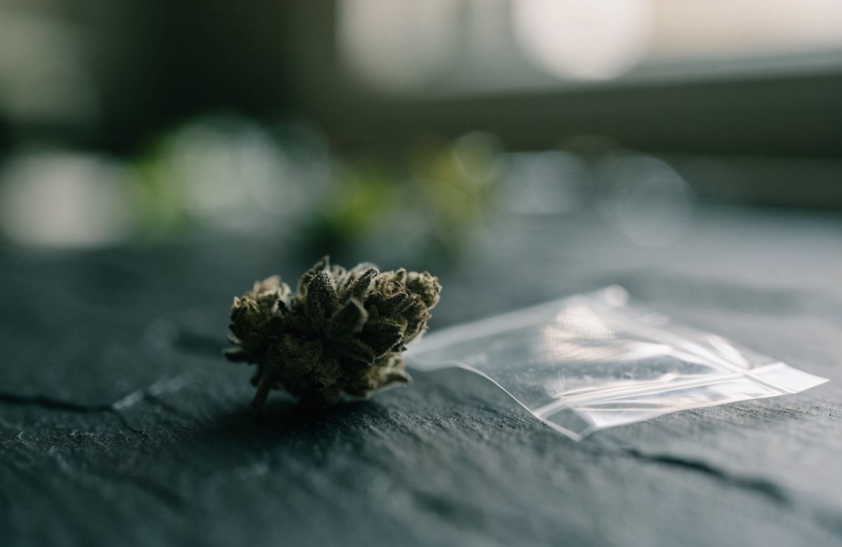 A single small dried cannabis bud beside an empty clear zip bag on a dark slate surface, about the size of a one-gram dime bag