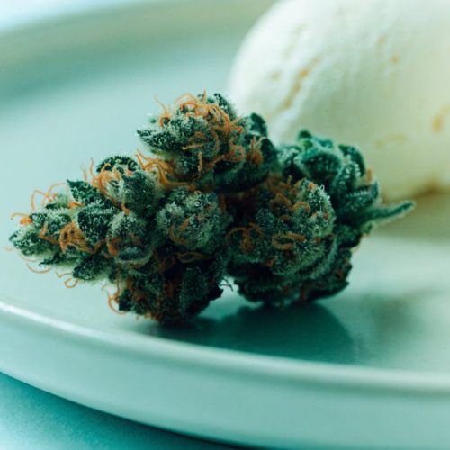 Dense forest-green Ice Cream Cake cannabis buds with orange hairs on a pale plate beside vanilla ice cream and a wedge of cake