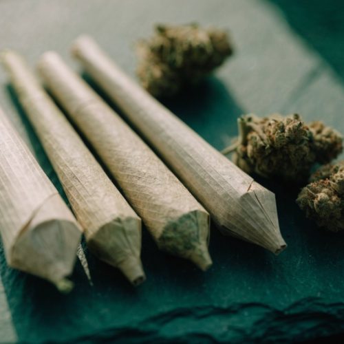 Four cone-shaped cannabis pre-rolls of different sizes on dark slate beside dried buds