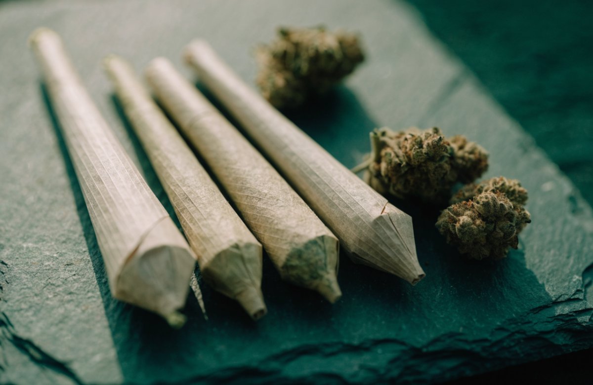 Four cone-shaped cannabis pre-rolls of different sizes on dark slate beside dried buds