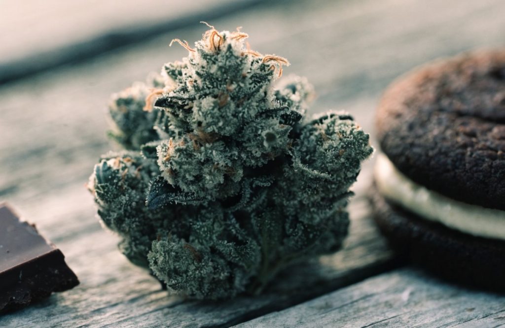 A frosty dark-green Pure Michigan cannabis bud with amber pistils on weathered grey wood beside a chocolate sandwich cookie and a square of dark chocolate