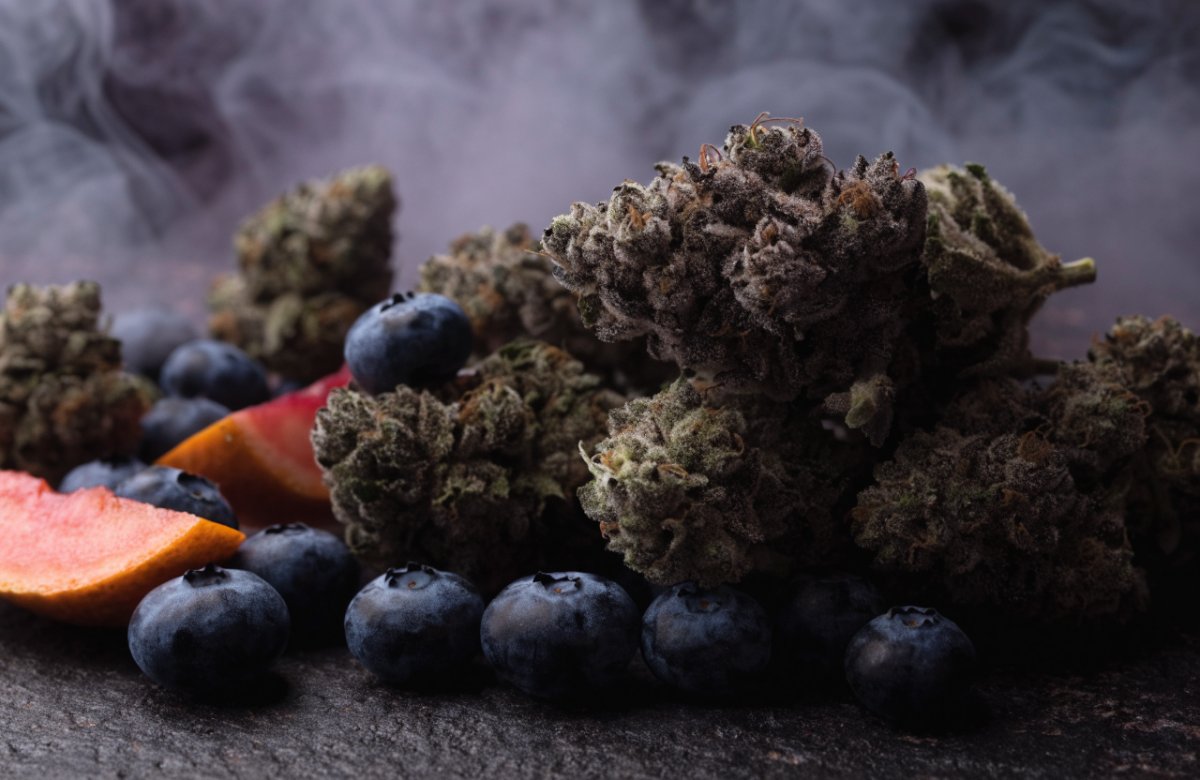 Dark olive green Slurricane cannabis buds with purple tones and frosty trichomes beside blueberries and tropical fruit