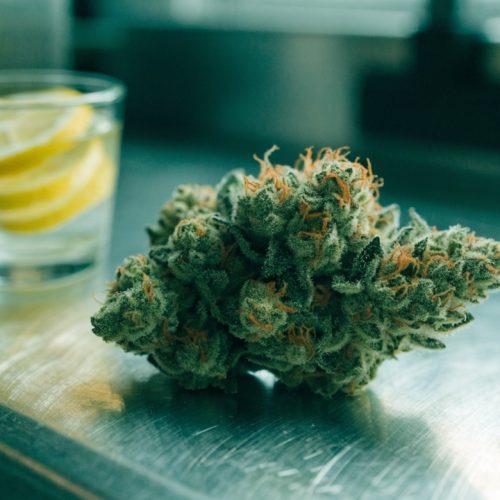 A dense frosty lime-green Sour Diesel cannabis bud with orange pistils on a brushed steel bench beside a small glass of lemon slices