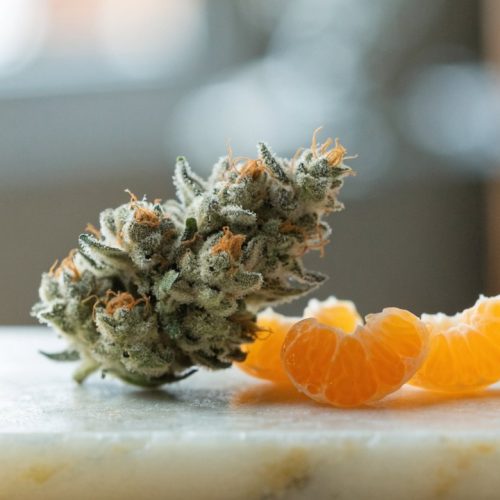 A frosty light-green Tangerine Haze cannabis bud with bright orange pistils on pale stone beside peeled tangerine segments