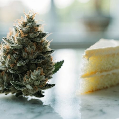 Frosty pine-tree-shaped Wedding Cake cannabis bud with orange hairs on white marble beside a slice of vanilla layer cake