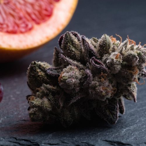 Frosty purple-and-green Zkittlez cannabis bud on dark slate beside red grapes and a halved pink grapefruit