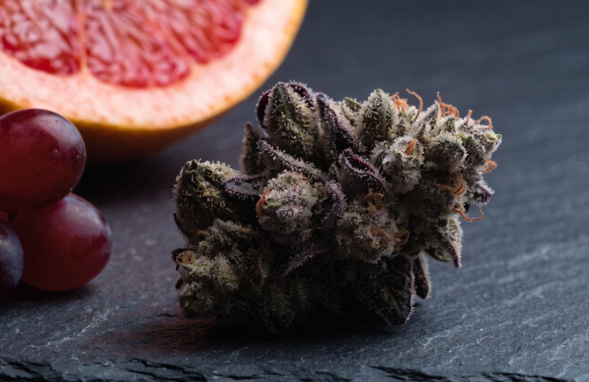 Frosty purple-and-green Zkittlez cannabis bud on dark slate beside red grapes and a halved pink grapefruit